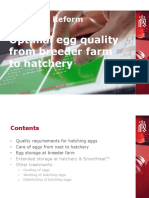 4A Eggs From Breeder Farm To Hatchery