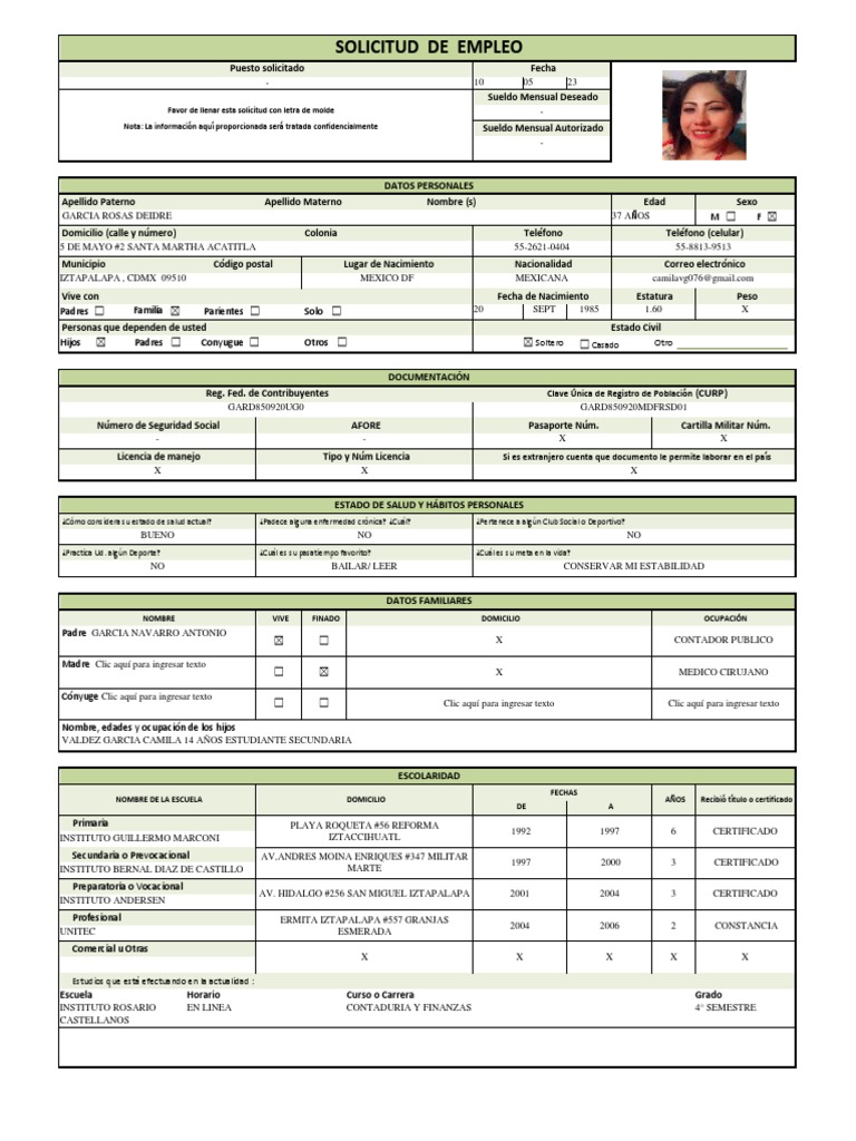 Formato Solicitud de Empleo Word | PDF