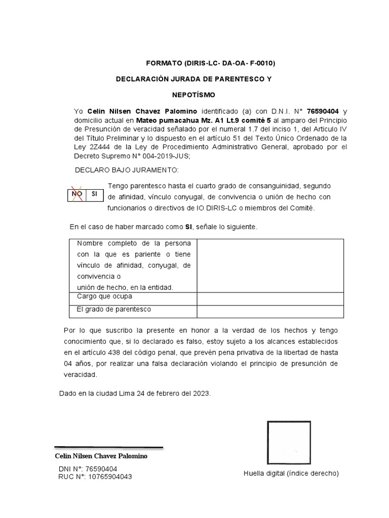 declaracion-jurada-de-nepotismo-pdf-pol-tica-ciencias-sociales
