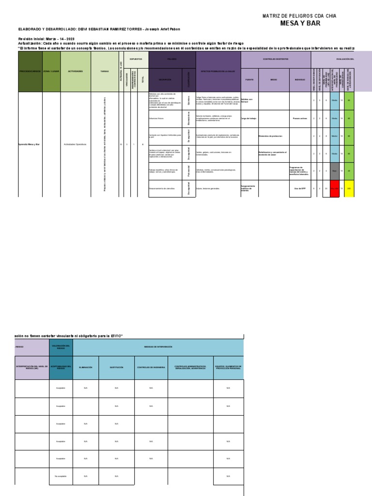 Matriz de Riesgos en Mesa y Bar | PDF | Lesión