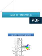 Fotosintesis y Respiracion