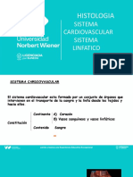 7 - Cardiovascular y Linfoide