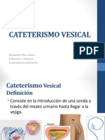 Cateterismo Vesical