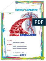 Sistema Circulatorio EULER OK