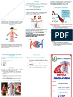 Sistema Circulatorio - Triptico OK