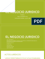 El Negocio Juridico