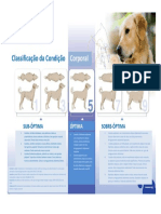 Body Condition Score Dogs Portuguese