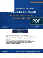 Biología Celular - Matriz Extracelular y Uniones Celulares-5-16
