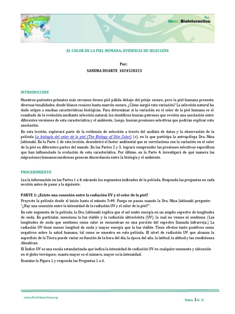 Evolución del Color de Piel Humana | PDF | Ultravioleta | Color de piel ...