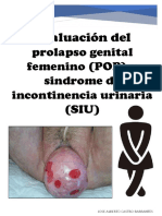 Evaluación Del Prolapso Genital Femenino (POP) y Sindrome de Incontinencia Urinaria (SIU)