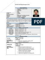 CV - David Orcoapaza Ccama - Inspector