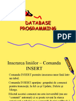 Database Programming