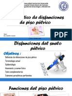 Piso Pelvico I DX Rosvely y Jennifer 2020 PDF