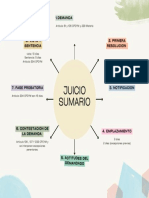 Mapa Mental Juicio Sumario