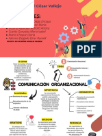 Organizador Visual de La Comunicacion Organizacional (GRUPO6)