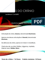 Aula de Suturas Do Crânio