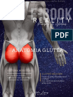 Anatomia Do GL Teo
