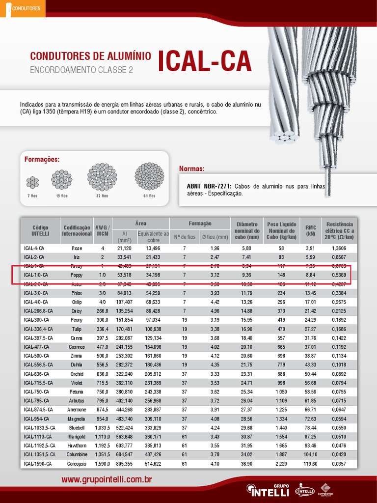 Ficha ICAL-CA | PDF