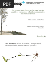 Recursos Atraves Dos Ecossistemas
