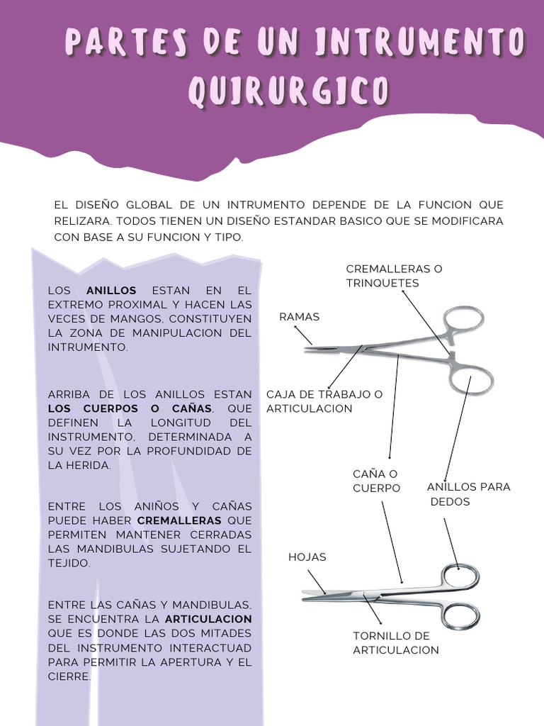 Clasificación y Función del Instrumental Quirúrgico | PDF | Hoja | Anatomía