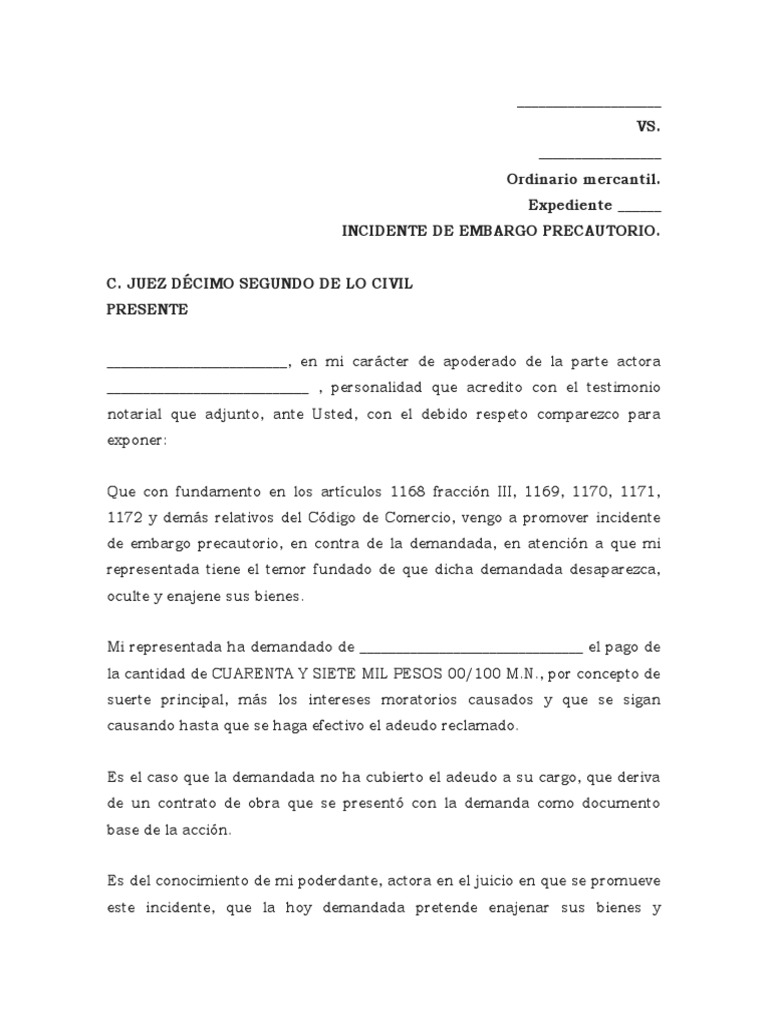 Incidente de Embargo Precautorio Mercantil | PDF | Justicia | Crimen y ...