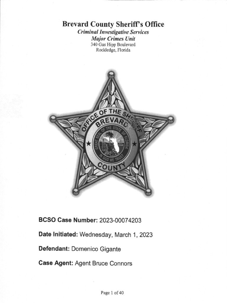 Vfw Quarterly Report Pdf