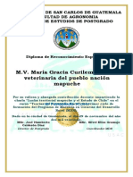Diploma Reconocimiento A Colaboradores Docentes MDR - Con Sello Dorado