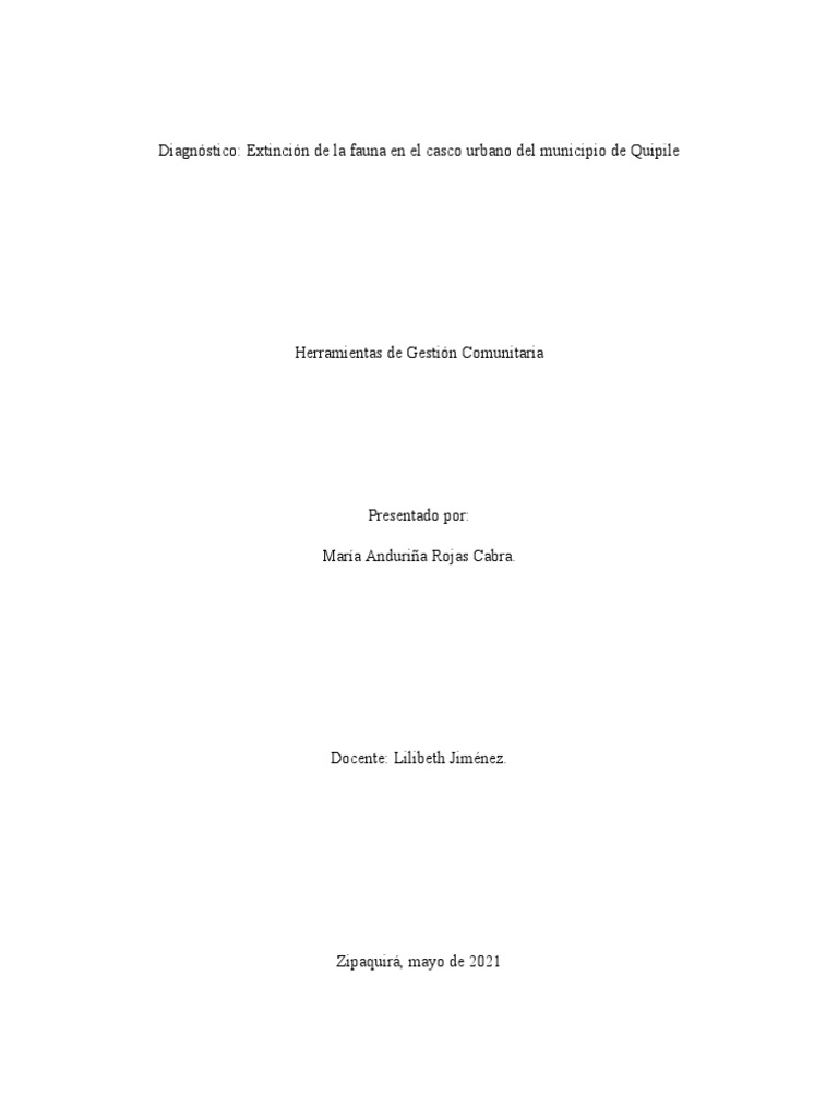 Diagnóstico Herramientas de Gestión PDF