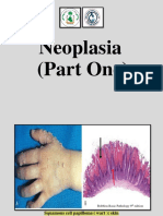 Lab8-Neoplasia Part I