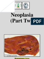 Lab9-Neoplasia Part II