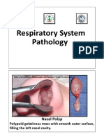 Lab17-Respiratory System Pathology - Compressed