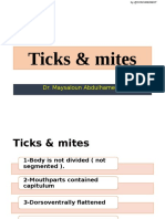 L40 Ticks & Mites