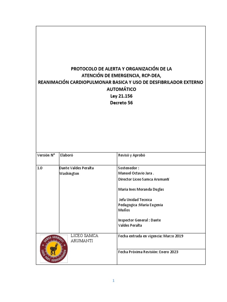 Protocolo de deA ACTUALIZADO | PDF | Reanimación cardiopulmonar | Paro ...