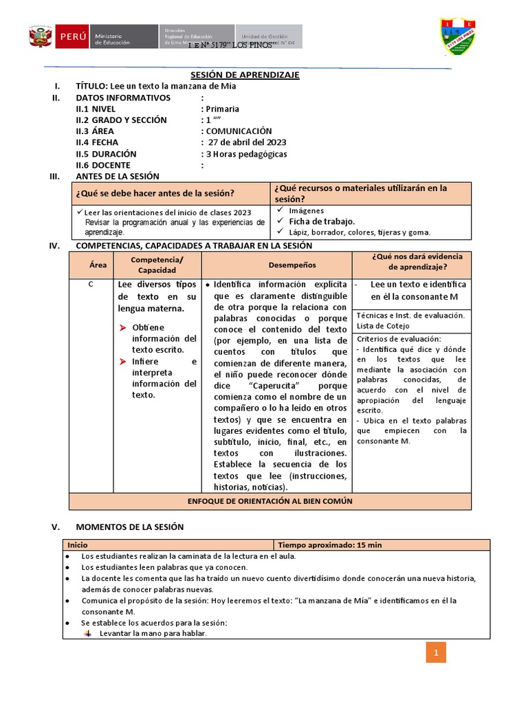 Sesion Comunicación Plan Lector | PDF | Aprendizaje | Evaluación
