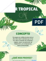 Mar Tropical - Merged