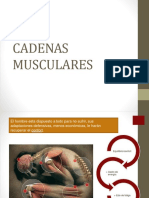 8 Cadenas Musculares