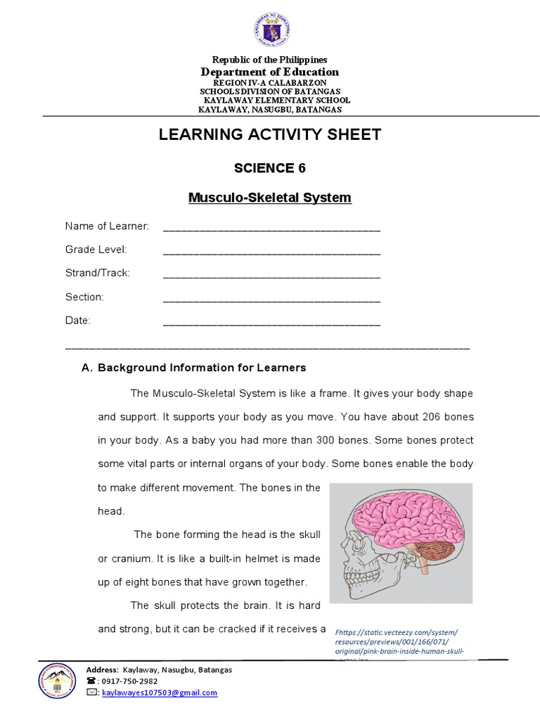 Musculo-Skeletal 1 | PDF | Skeleton | Vertebral Column