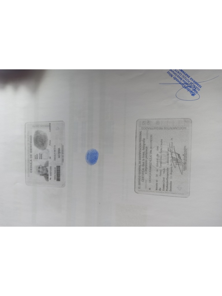 Dionicia | PDF