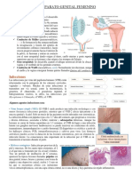 Aparato Genital Femenino PDF