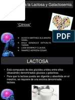 ALE Cia A La Lactosa y Galactosemia