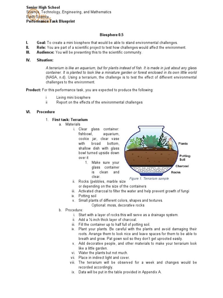 Mini Biosphere Performance Task Guide | PDF | Aquarium | Plants