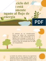 El Ciclo Del Carbono Está Estrechamente Ligado Al Flujo de Energía