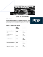 Planilha de Treinamento - Júnior Alvarenga