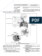 Apostila Terapia Nutricional Nas Doenças Pulmonares