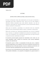 Informe Estructura Curricular de La Educacion Inicial