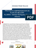 Proyecto Emprendedor Plan de Mejora