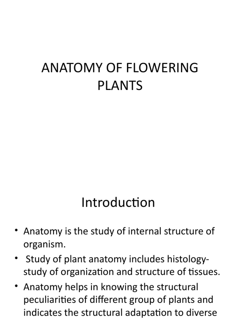 Anatomy English PDF Tissue (Biology) Plants