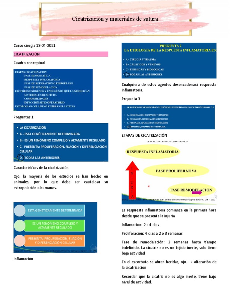 Cicatrización Y Materiales De Suturas Pdf Cicatrización De La