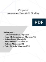 Presentasi Projek II-1