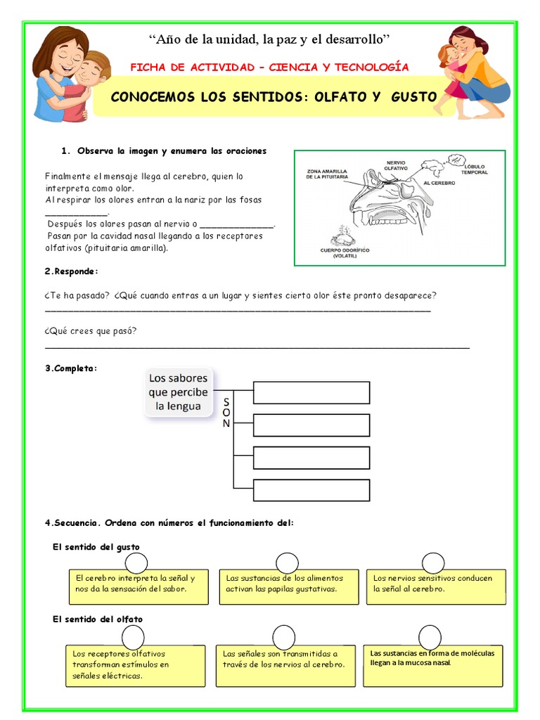 ficha-conocemos-los-sentidos-olfato-y-gusto-pdf
